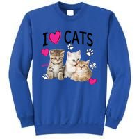 I Love Cats Gift Cat Lover Tee Gift I Love Kittens Gift Cool Gift Sweatshirt