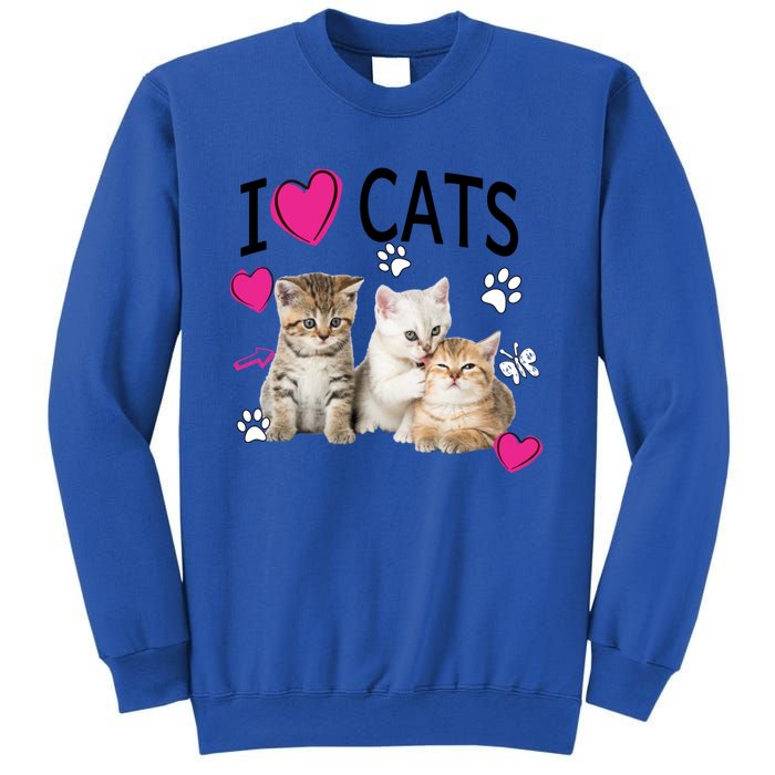 I Love Cats Gift Cat Lover Tee Gift I Love Kittens Gift Cool Gift Sweatshirt