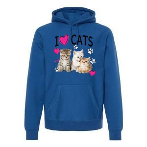 I Love Cats Gift Cat Lover Tee Gift I Love Kittens Gift Cool Gift Premium Hoodie