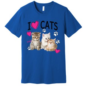 I Love Cats Gift Cat Lover Tee Gift I Love Kittens Gift Cool Gift Premium T-Shirt