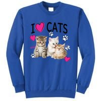 I Love Cats Gift Cat Lover Tee Gift I Love Kittens Gift Cool Gift Tall Sweatshirt