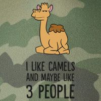 I Like Camels And Maybe Like 3 People Funny Camel Legacy Tie Dye Trucker Hat