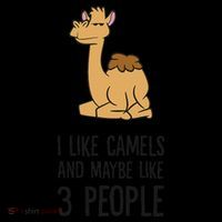I Like Camels And Maybe Like 3 People Funny Camel Flexfit Unipanel Trucker Cap