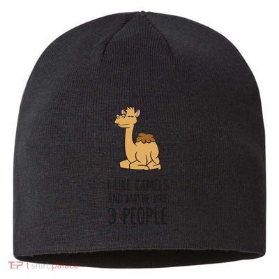 I Like Camels And Maybe Like 3 People Funny Camel Sustainable Beanie