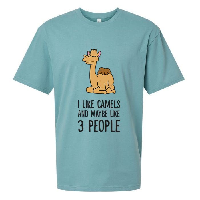 I Like Camels And Maybe Like 3 People Funny Camel Sueded Cloud Jersey T-Shirt