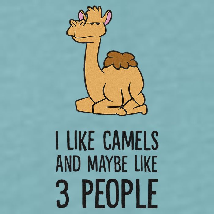 I Like Camels And Maybe Like 3 People Funny Camel Sueded Cloud Jersey T-Shirt
