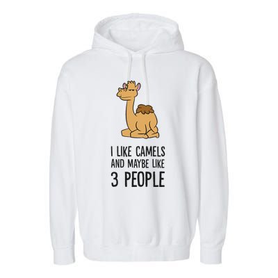 I Like Camels And Maybe Like 3 People Funny Camel Garment-Dyed Fleece Hoodie