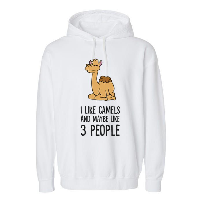 I Like Camels And Maybe Like 3 People Funny Camel Garment-Dyed Fleece Hoodie