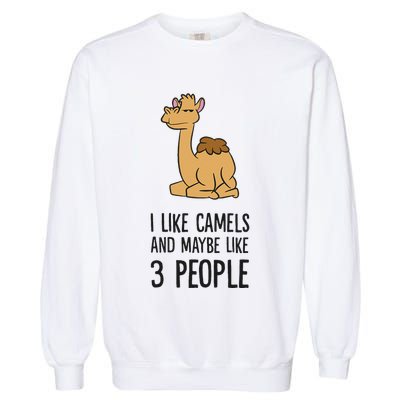 I Like Camels And Maybe Like 3 People Funny Camel Garment-Dyed Sweatshirt