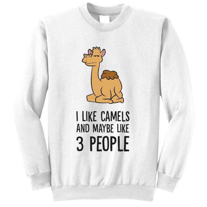 I Like Camels And Maybe Like 3 People Funny Camel Sweatshirt