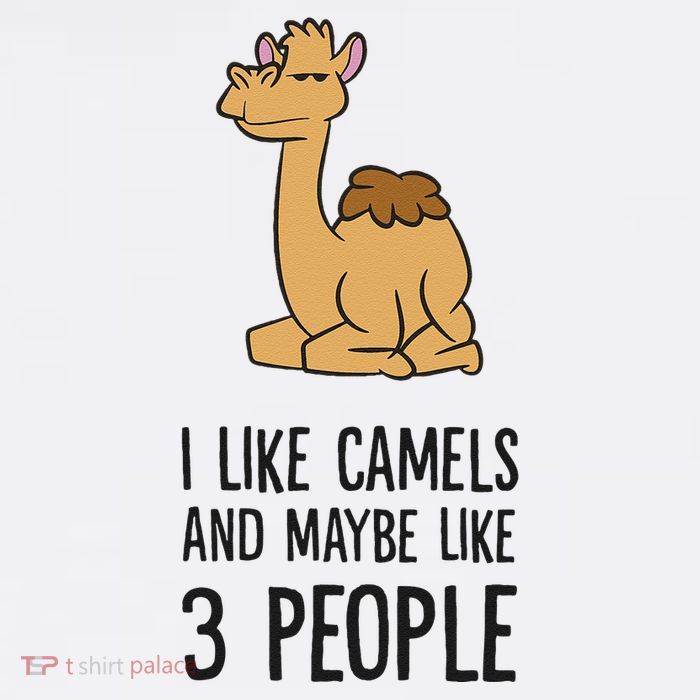 I Like Camels And Maybe Like 3 People Funny Camel Tall T-Shirt