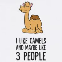 I Like Camels And Maybe Like 3 People Funny Camel Button