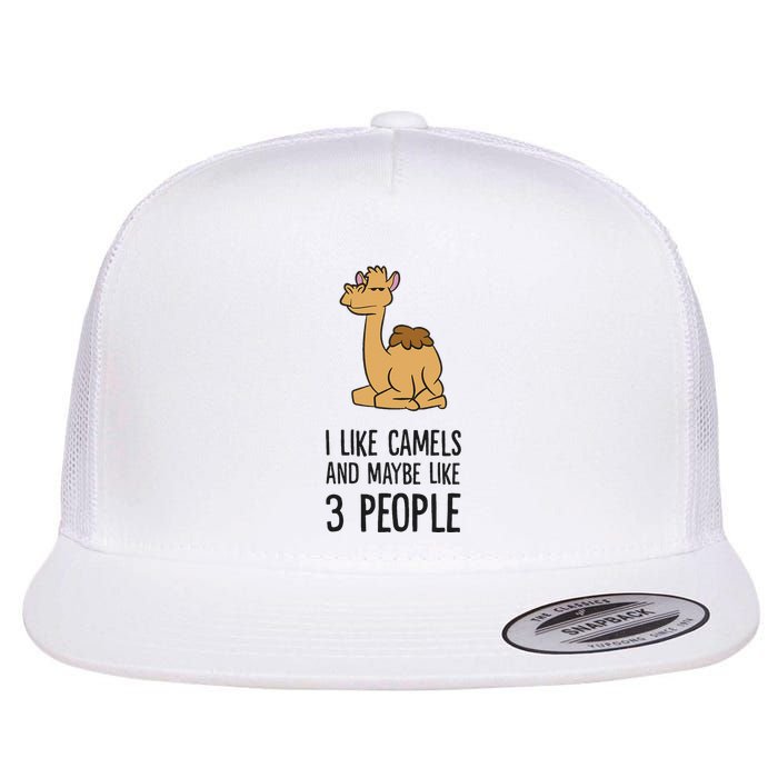 I Like Camels And Maybe Like 3 People Funny Camel Flatbill Hat