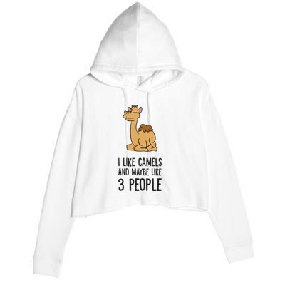 I Like Camels And Maybe Like 3 People Funny Camel Crop Fleece Hoodie