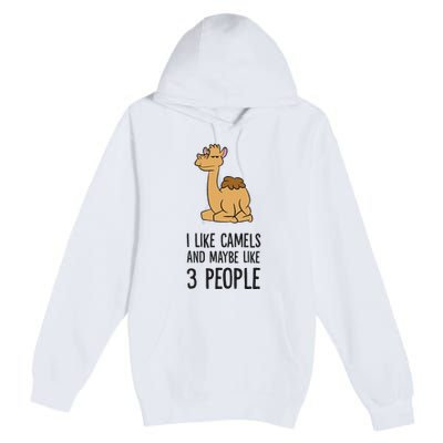 I Like Camels And Maybe Like 3 People Funny Camel Premium Pullover Hoodie