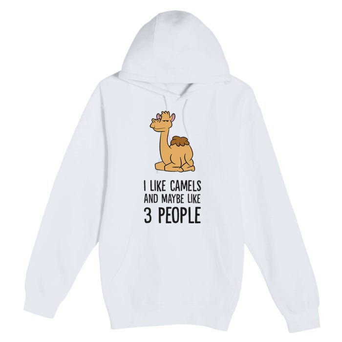 I Like Camels And Maybe Like 3 People Funny Camel Premium Pullover Hoodie