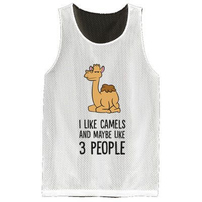 I Like Camels And Maybe Like 3 People Funny Camel Mesh Reversible Basketball Jersey Tank