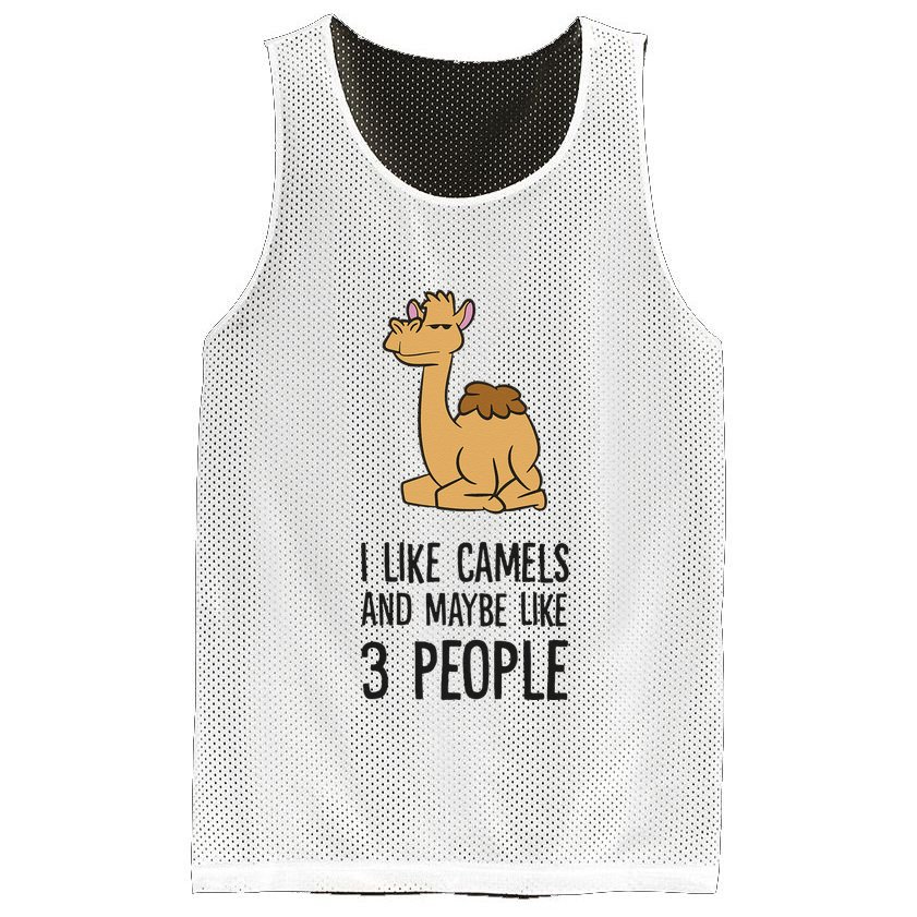 I Like Camels And Maybe Like 3 People Funny Camel Mesh Reversible Basketball Jersey Tank