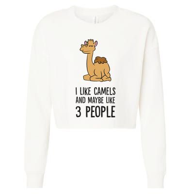I Like Camels And Maybe Like 3 People Funny Camel Cropped Pullover Crew