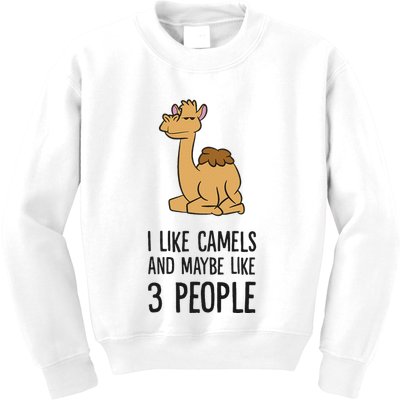 I Like Camels And Maybe Like 3 People Funny Camel Kids Sweatshirt