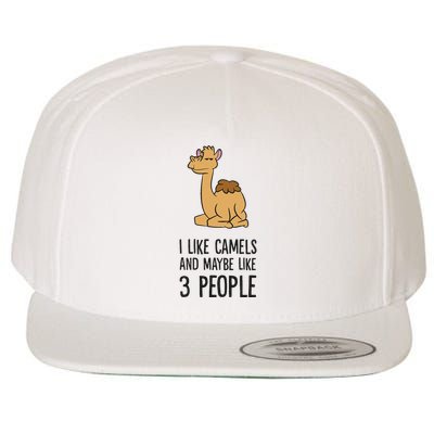 I Like Camels And Maybe Like 3 People Funny Camel Wool Snapback Cap