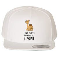 I Like Camels And Maybe Like 3 People Funny Camel Wool Snapback Cap