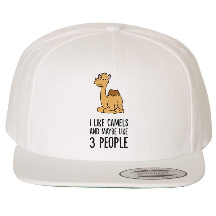 I Like Camels And Maybe Like 3 People Funny Camel Wool Snapback Cap
