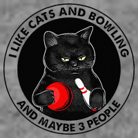 I Like Cats And Bowling And Maybe 3 People Funny Cat Lovers Hooded Wearable Blanket