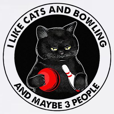 I Like Cats And Bowling And Maybe 3 People Funny Cat Lovers T-Shirt