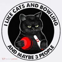 I Like Cats And Bowling And Maybe 3 People Funny Cat Lovers Mesh Reversible Basketball Jersey Tank