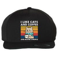 I Like Cats And Coffee And Maybe 3 People Funny Cats Wool Snapback Cap