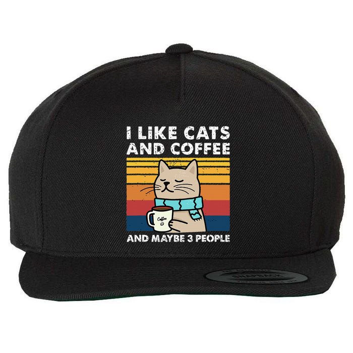 I Like Cats And Coffee And Maybe 3 People Funny Cats Wool Snapback Cap
