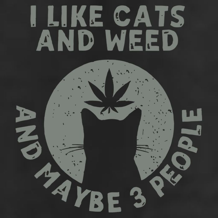 I Like Cats And Weed And Maybe 3 People 420 Day cannabis Adult Drive Performance Visor