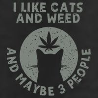 I Like Cats And Weed And Maybe 3 People 420 Day cannabis 11oz C Handle Ceramic Mug