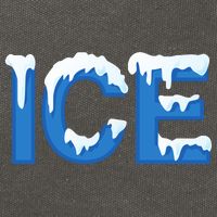 Ice Logo Costume Cotton Canvas Backpack
