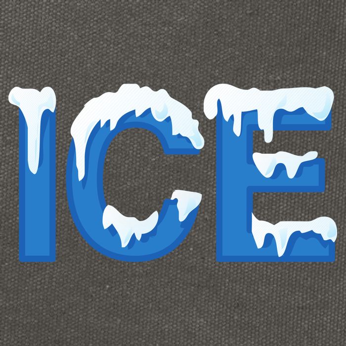 Ice Logo Costume Cotton Canvas Backpack