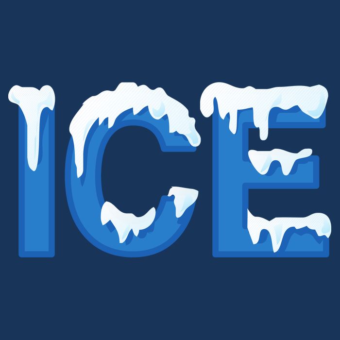 Ice Logo Costume Flatbill Hat