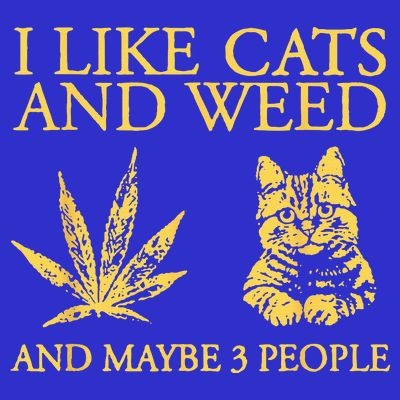 I Like Cats And Weed And Maybe 3 People T-Shirt