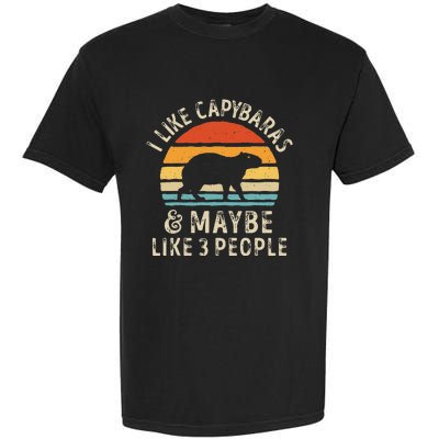 I Like Capybaras And Maybe 3 People Funny Capybara Lover Garment-Dyed Heavyweight T-Shirt