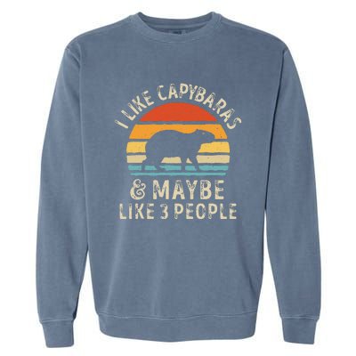 I Like Capybaras And Maybe 3 People Funny Capybara Lover Garment-Dyed Sweatshirt