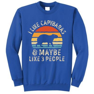 I Like Capybaras And Maybe 3 People Funny Capybara Lover Sweatshirt