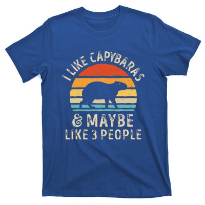 I Like Capybaras And Maybe 3 People Funny Capybara Lover T-Shirt