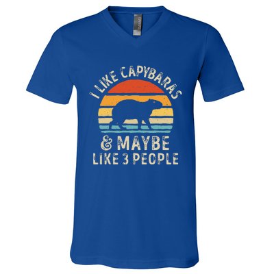 I Like Capybaras And Maybe 3 People Funny Capybara Lover V-Neck T-Shirt