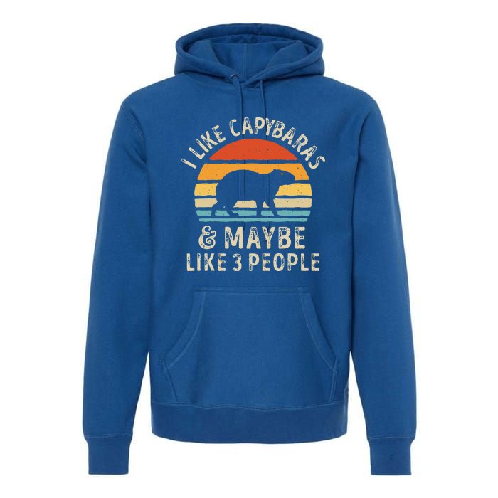 I Like Capybaras And Maybe 3 People Funny Capybara Lover Premium Hoodie