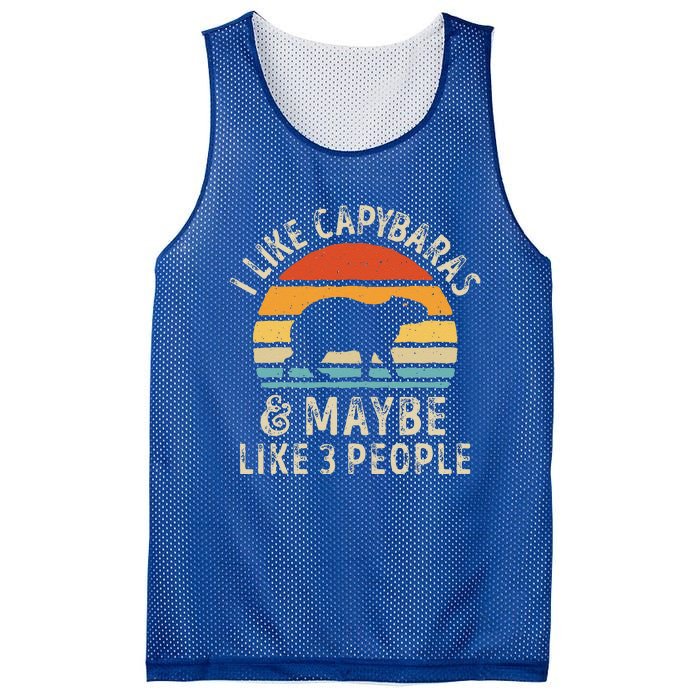 I Like Capybaras And Maybe 3 People Funny Capybara Lover Mesh Reversible Basketball Jersey Tank