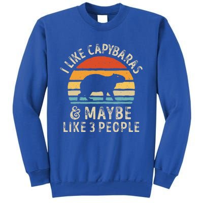 I Like Capybaras And Maybe 3 People Funny Capybara Lover Tall Sweatshirt