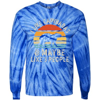 I Like Capybaras And Maybe 3 People Funny Capybara Lover Tie-Dye Long Sleeve Shirt