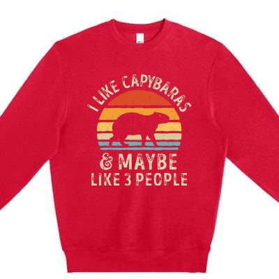 I Like Capybaras And Maybe 3 People Funny Capybara Lover Premium Crewneck Sweatshirt