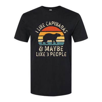 I Like Capybaras And Maybe 3 People Funny Capybara Lover Softstyle CVC T-Shirt