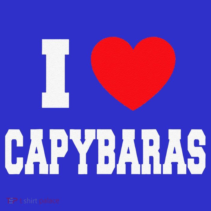 I Love Capybaras Tall T-Shirt
